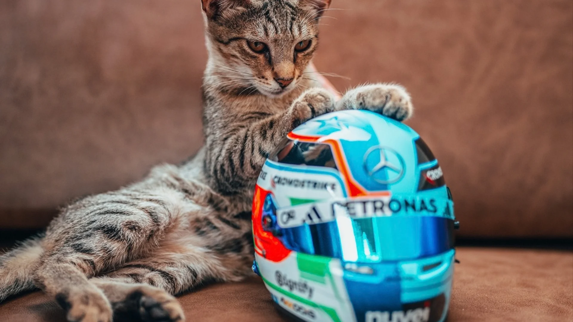 Un gato descansa junto a un casco de Fórmula 1 en el paddock de Bakú.